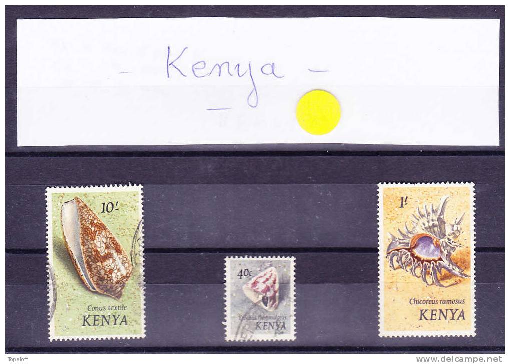 Lot Du KENYA   Coquillages - Kenya (1963-...)