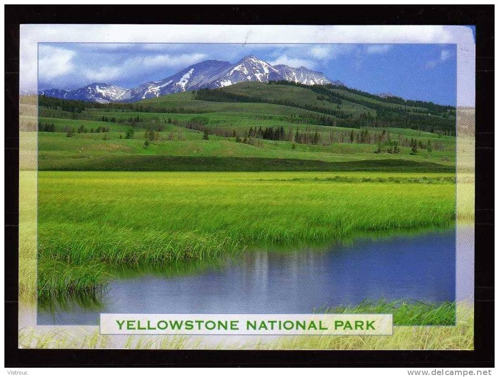 Yellowstone National Park - Circulated - Circulé - Gelaufen - 1997. - Yellowstone