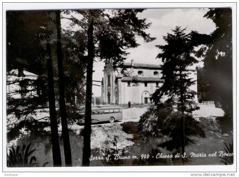 SERRA SAN BRUNO, LA CHIESA DI SANTA MARIA NEL BOSCO, B/N, ANIMATA   **** - Vibo Valentia