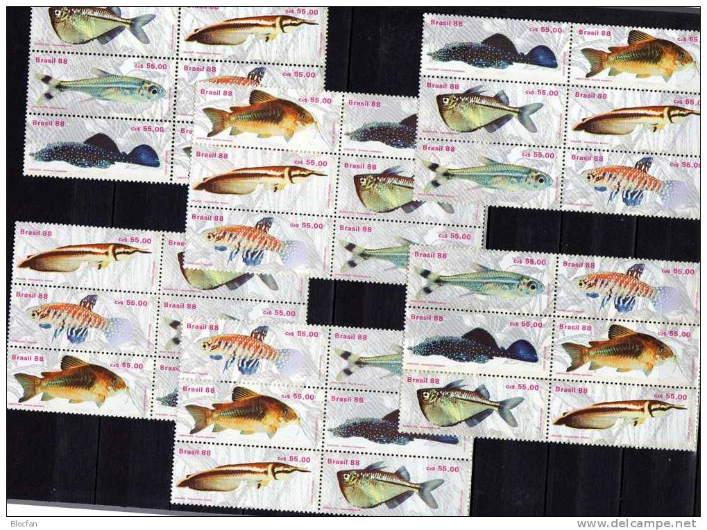 WWF Naturschutz Fische 1988 Brasilien 2276/1+ 6x6- Block ** 30€ Bf Bloc Se-tenant Beil Bart Neon Kärpfling Glanz-Wels - Verzamelingen & Reeksen