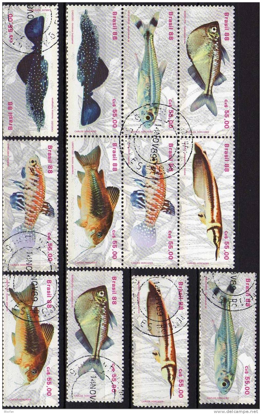 WWF Gestempelt Naturschutz Fische 1988 Brasilien 2276/1+ 6-Block O 5€ Bloc Se-tenant Beil Bart Neon Kärpfling Glanz-Wels - Blocks & Sheetlets