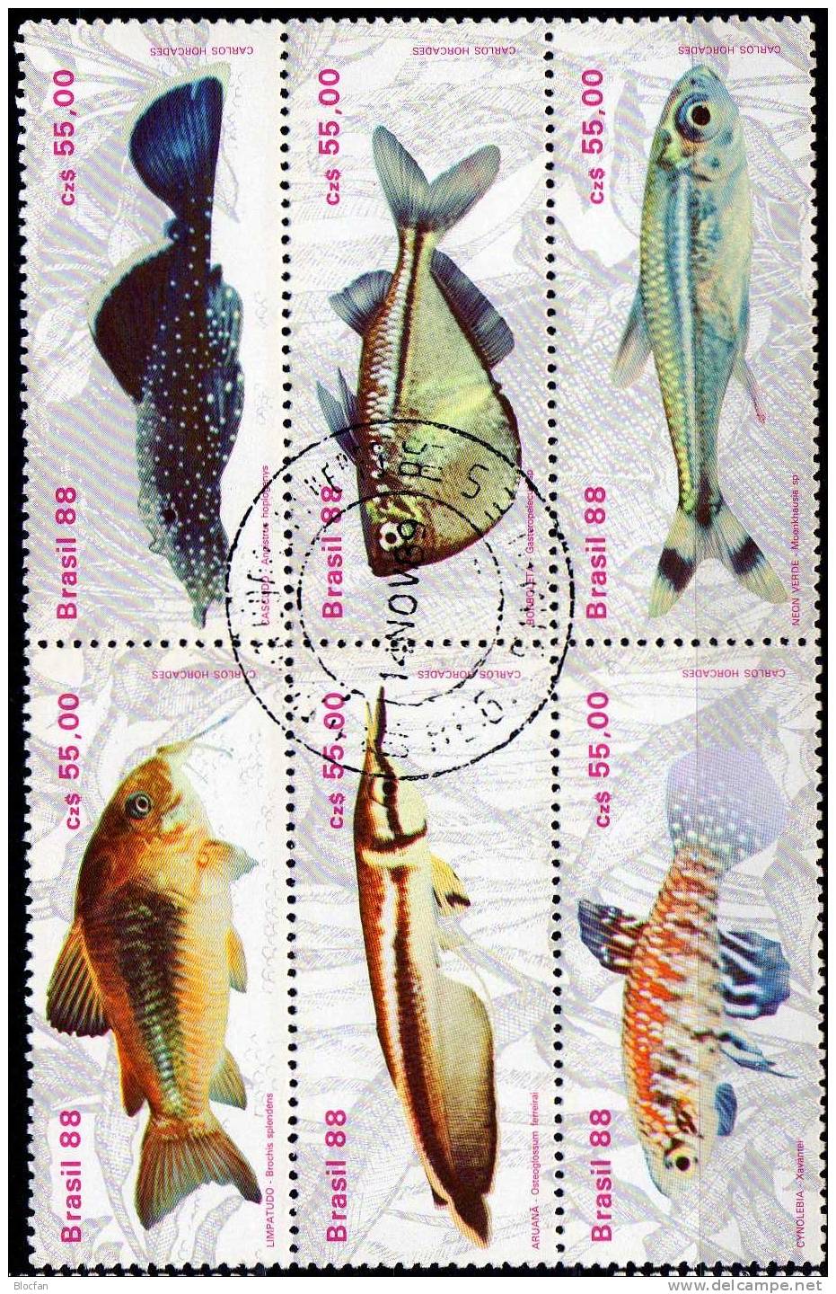 Naturschutz Fische 1988 Brasilien 2276/1,24xZD-Varianten+6-Block O 40€ Beil Bart Neon Kärpfling Wels Glanzwels Bf BRAZIL - Collections, Lots & Series