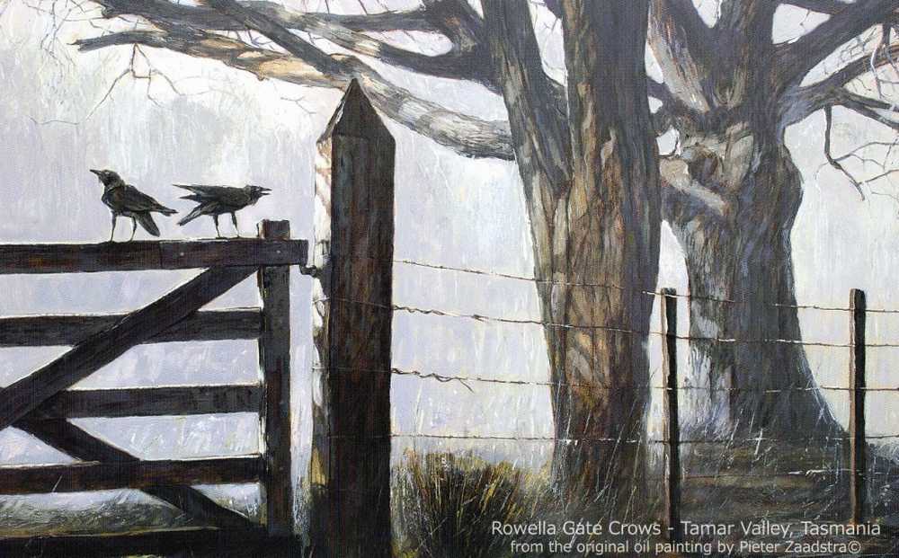 Australia Tasmania Tamar Valley - Rowella Gate Crows, Large PC  Zaadstra 22x14cm Unused - Other & Unclassified