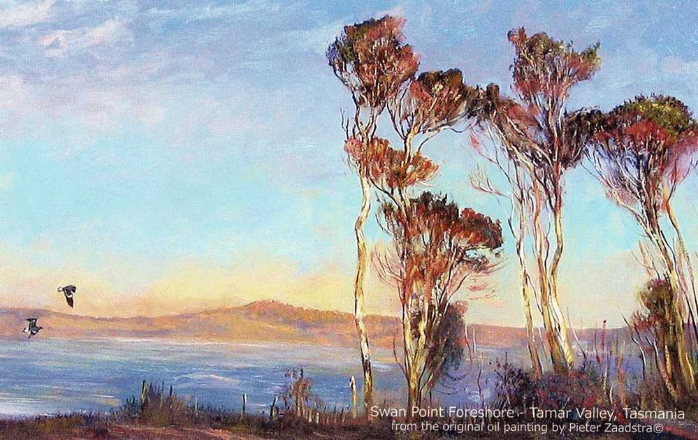 Australia Tasmania Tamar Valley - Swan Point Foreshore Zaadstra Large PC 22x14cm Unused - Other & Unclassified