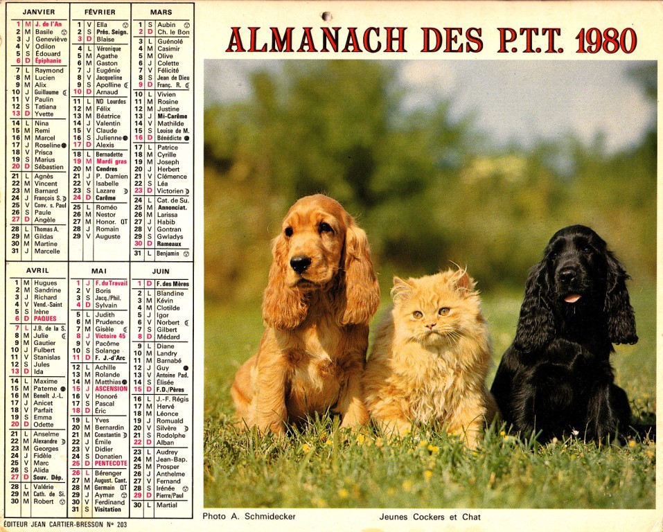 ALMANACH 1980 - Grand Format : 1971-80