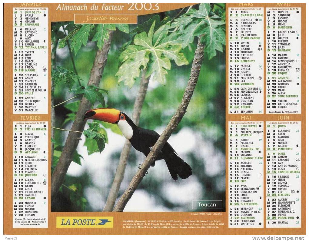 Almanach Du Facteur 2003 - La Poste -  Photos Cartier-Bresson - Oiseaux - Grand Format : 2001-...