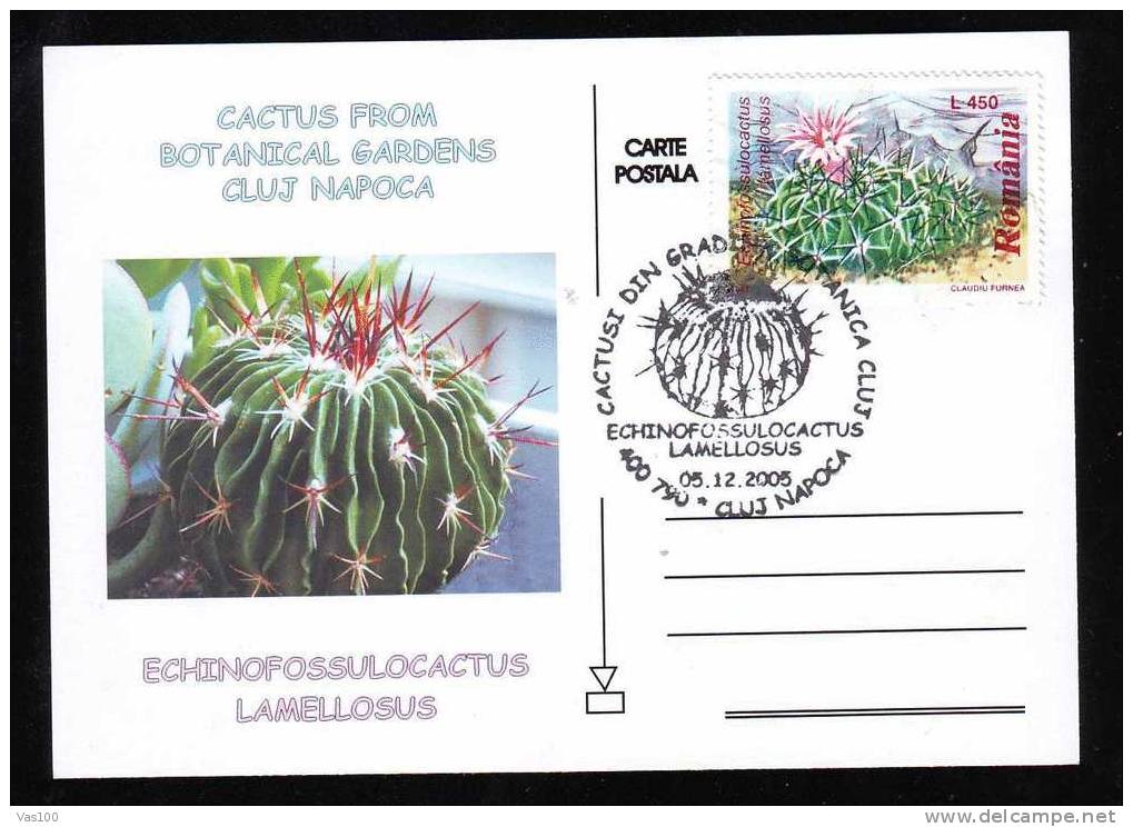 ROMANIA 2005 Entier Postaux Stationery POSTCARD,with Cactusses,cactus. - Cactussen