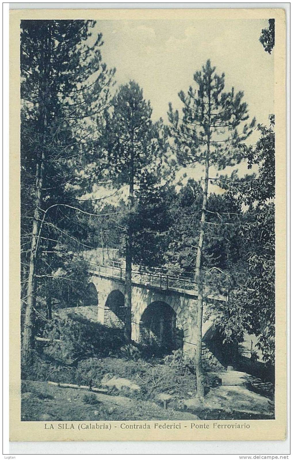 Cartolina - CATANZARO - LA SILA - CONTRADA FEDERICI - PONTE FERROVIARIO - CALABRIA - Catanzaro