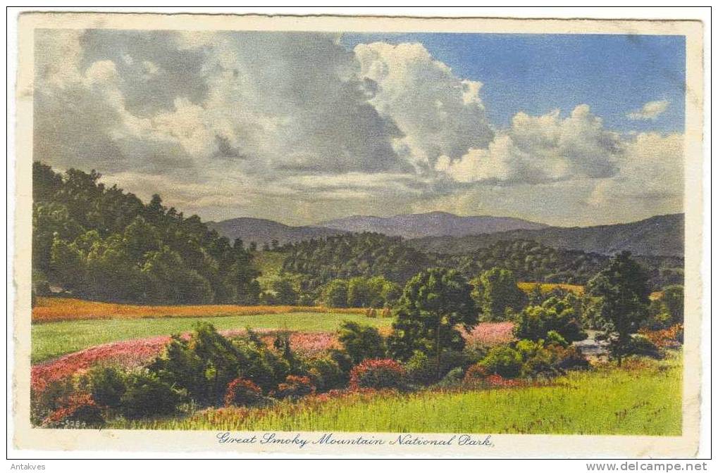 USA Postcard Smoky Mountain National Park NC North Carolina (Switzerland) - Autres & Non Classés