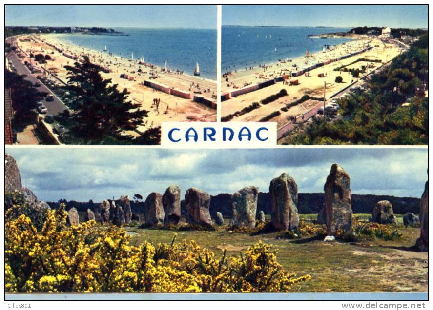 CARNAC - MULTIVUE - La Turballe