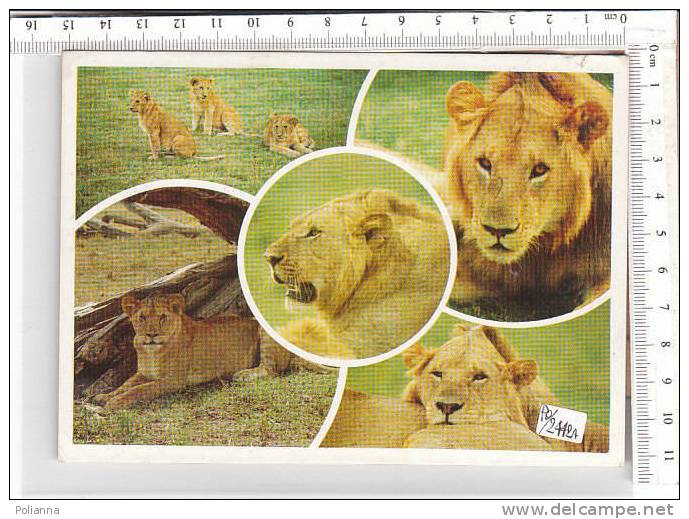 PO2442A# AFRICA - KENYA - LEONI  VG 1986 - Leones