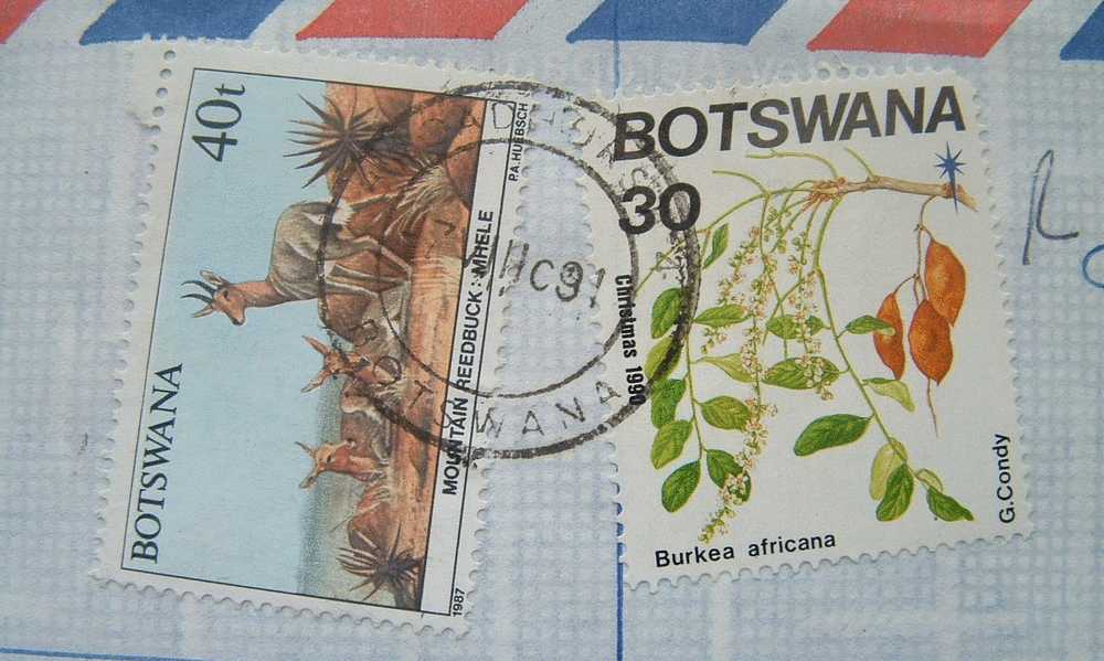 Botswana 1991 Cover To England UK - Animals Antelope Gazelle  Mountain Reedbuck Flower Seeds Burkea - Botswana (1966-...)