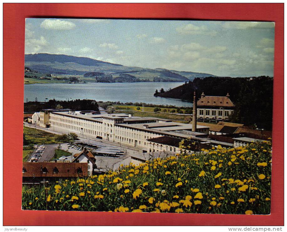 A364, Fabrique De Broc, Chocolat, Nestlé, Cailler, Kohler,lac De Gruyère, Non Circulée - Broc