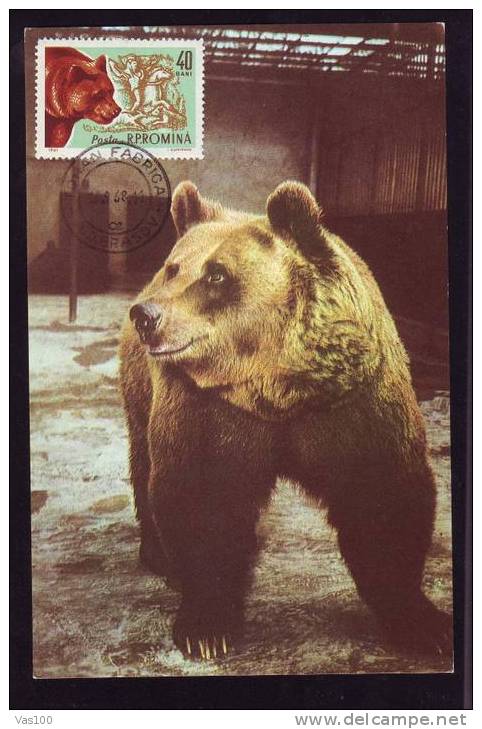 BEARS OURS 1 MAXI CARD MAXIMUM CARD 1968  ROMANIA. - Bären