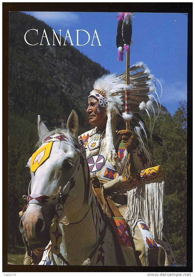 CPM Animée Canada Indien CREE D'Alberta Cheval - Sonstige & Ohne Zuordnung