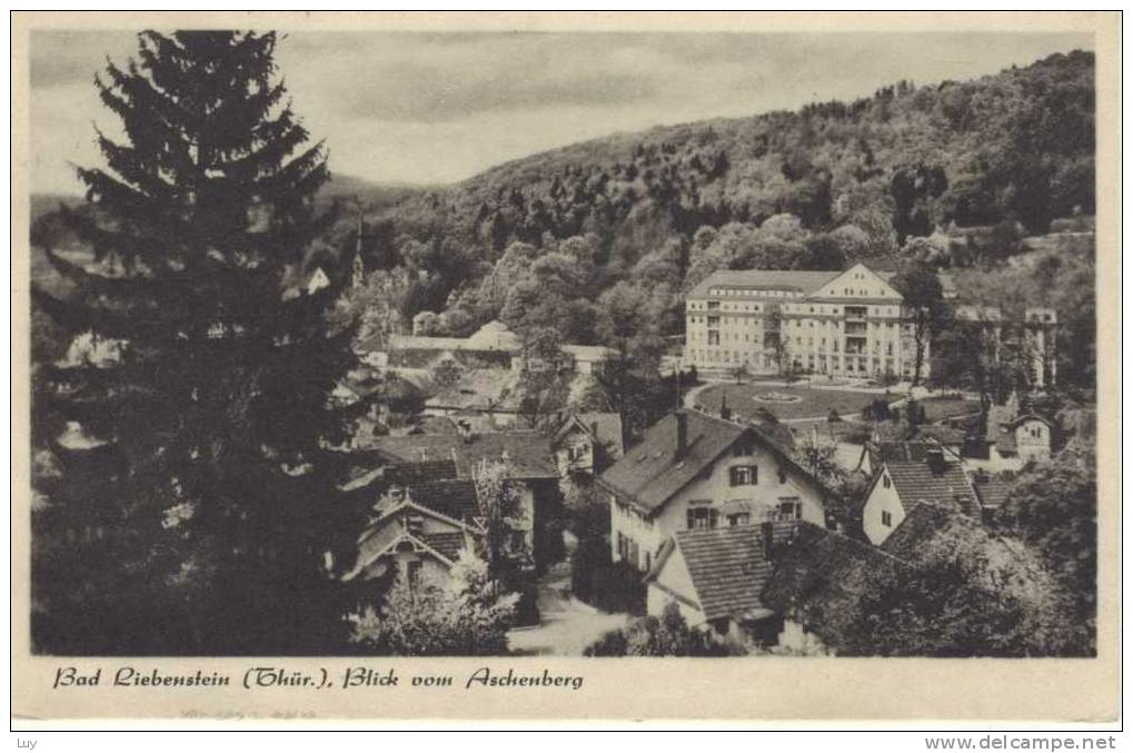 BAD LIEBENSTEIN, Thüringen , Blick Vom Aschenberg; Gel. 1951, Schöner Motivstempel - Bad Liebenstein