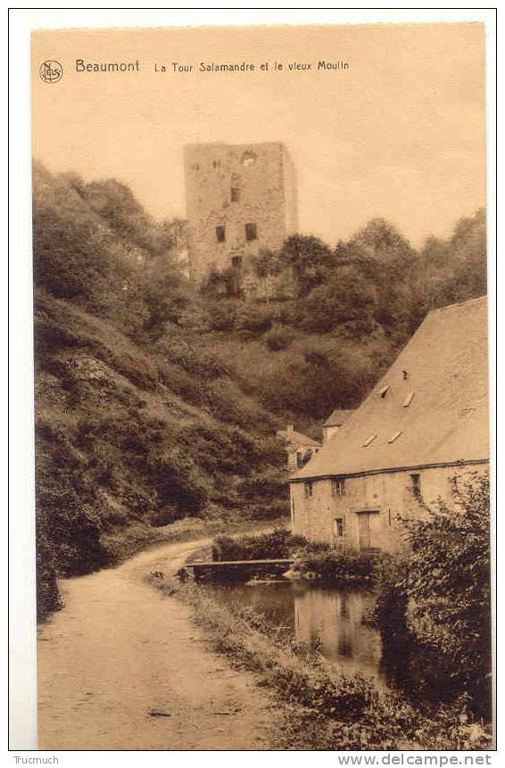 C6974 - Beaumont - La Tour Salamandre Et Le Vieux Moulin - Beaumont