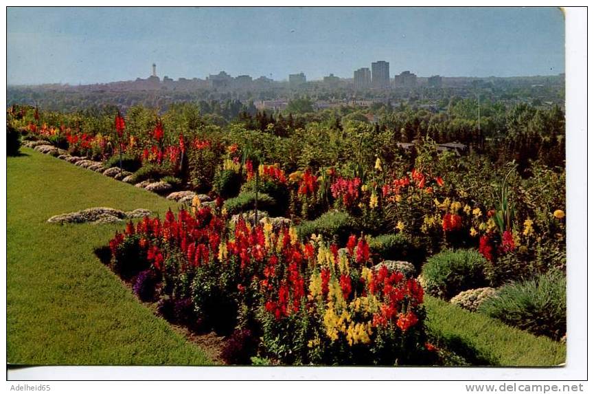 Looking Down At The Calgary Skyline From The Provincial Auditorium Flower Gardens - Calgary