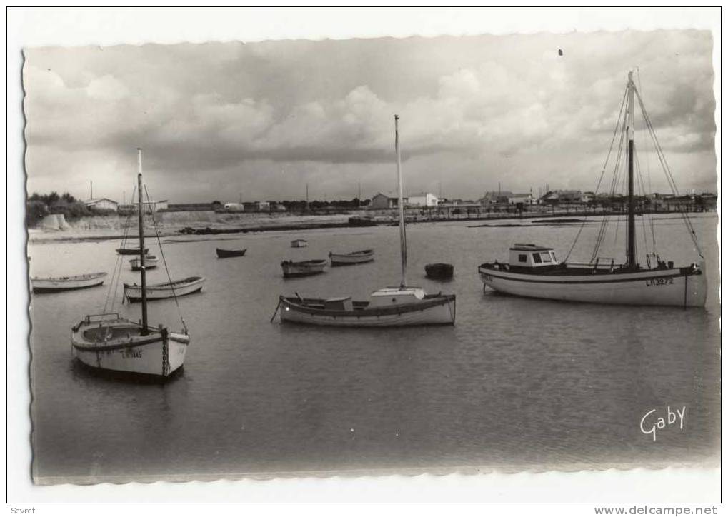 ANGOULINS Sur Mer - Le Port . CPSM 9x14 - Angoulins