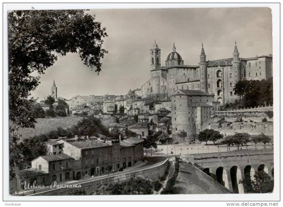 URBINO, PANORMA, B/N, VG 1953   **** - Urbino