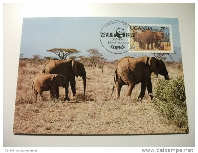 Annullo Speciale Maximum Wwf  Uganda Elefante Elephant - Olifanten