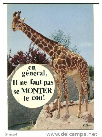 CPSM GIRAFE  Animaux Humoristiques En Général Il Ne Faut Pas Se Monter Le Cou Zoo Romaneche Thorins 71 Cim - Giraffes