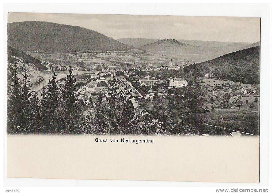 AK NECKARGEMÜND  //  P*B0495 - Neckargemünd