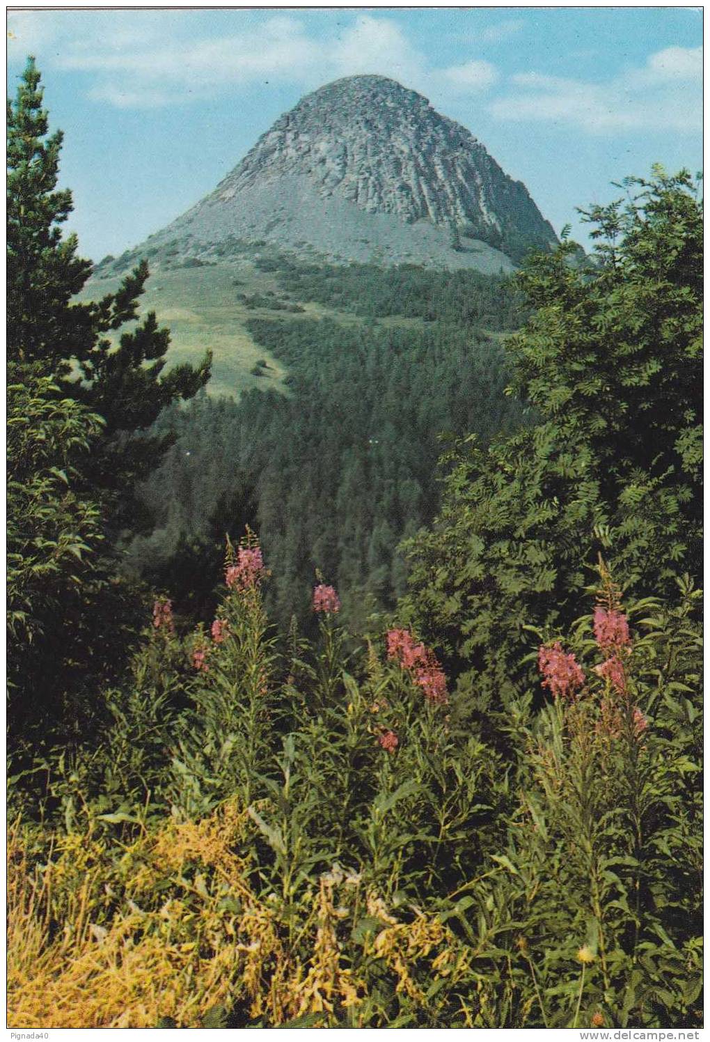 Cp , RÉGIONS , RHÔNE-ALPES , Le Mont Gerbier De Jonc , Alt.1551m. , Source De La Loire - Rhône-Alpes