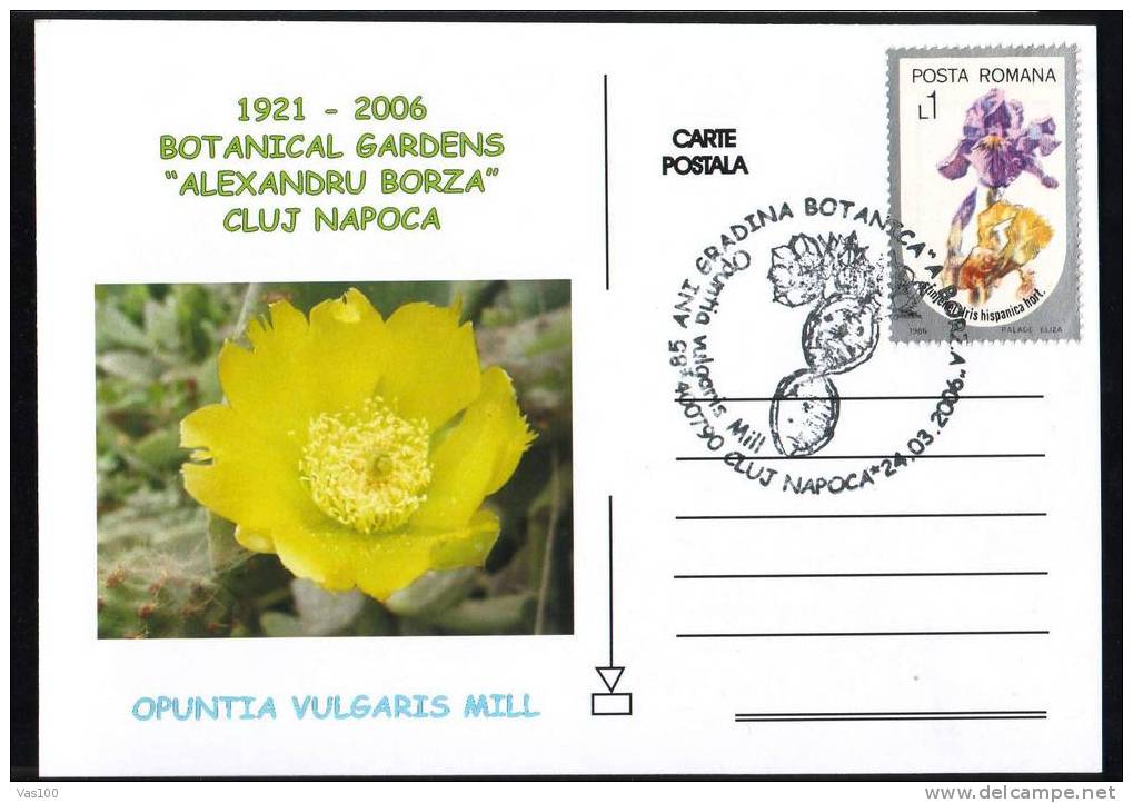 ROMANIA 2006  POSTCARD,with Cactusses,cactus.(C) - Cactussen