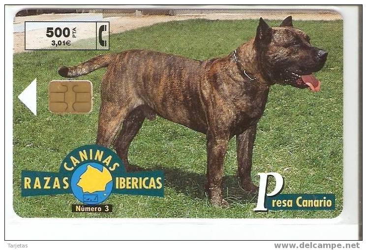 Nº3 PRESA CANARIO DE LA SERIE RAZAS CANINAS IBERICAS DE TIRADA 5300 - Privé-uitgaven