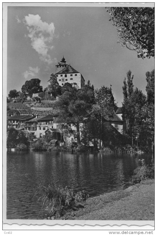 Schloss Und Städtchen Werdenberg Bei Buchs - Buchs