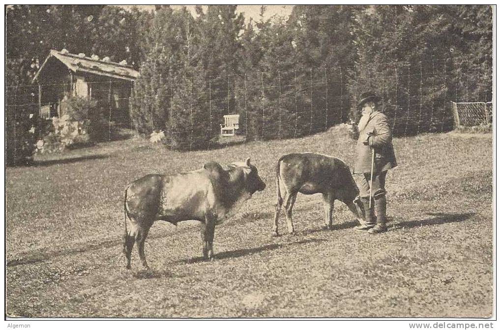 558 - Parc D'acclimatation Des Geneveys Sur Coffrane Camille Droz Et Ses Zébus - Coffrane