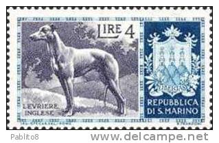 SAN MARINO 1956 CANI SERIE COMPLETA MNH - Unused Stamps