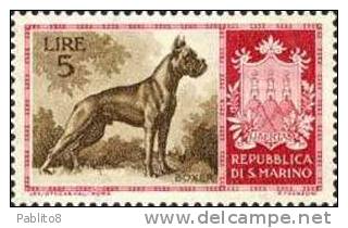 SAN MARINO 1956 CANI SERIE COMPLETA MNH - Unused Stamps