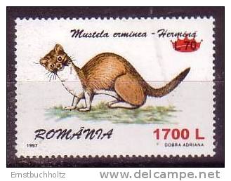 Rumänien Romania 2000 Surcharged 1700L On 70L Fauna HermelinSc 4349 - Ongebruikt