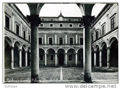 URBINO - Cortile Palazzo Ducale (Laurana) - Urbino