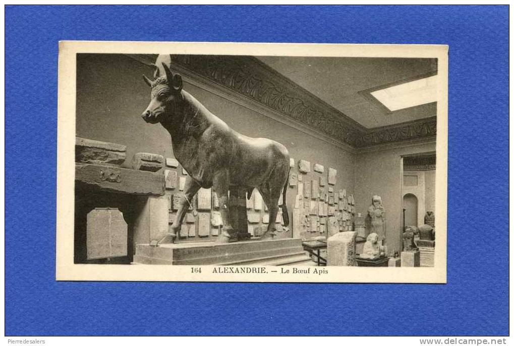 Animaux - Taureau - Le Boeuf Apis - Alexandrie - Musée - Egypte - Taureaux