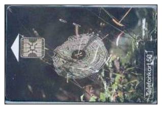 # SWEDEN 60102-45a Spider's Web 50 Sc5 05.93 -animal,araignée,spider- Tres Bon Etat - Schweden