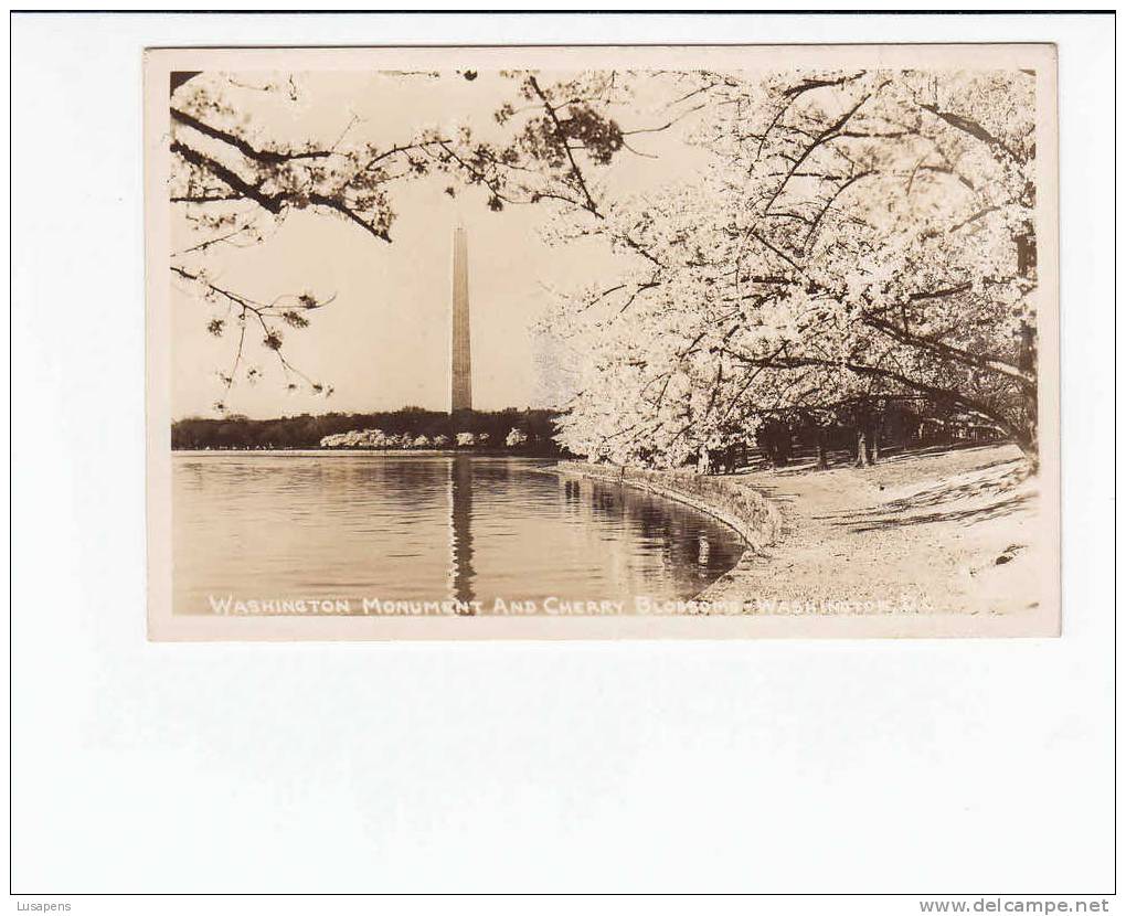 OLD FOREIGN 5654 - UNITED STATES OF AMERICA USA -WASHINGTON MONUMENT AND CHERRY BLOSSOME WASHINGTON DC - Washington DC