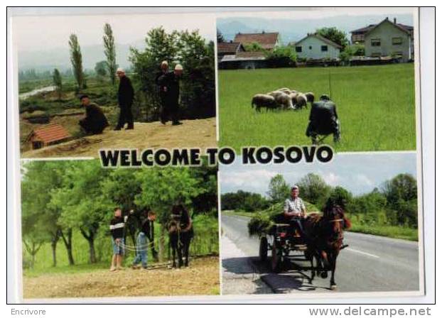 Cpm Welcome To KOSOVO Agriculture Attelage âne Moutons - Kosovo