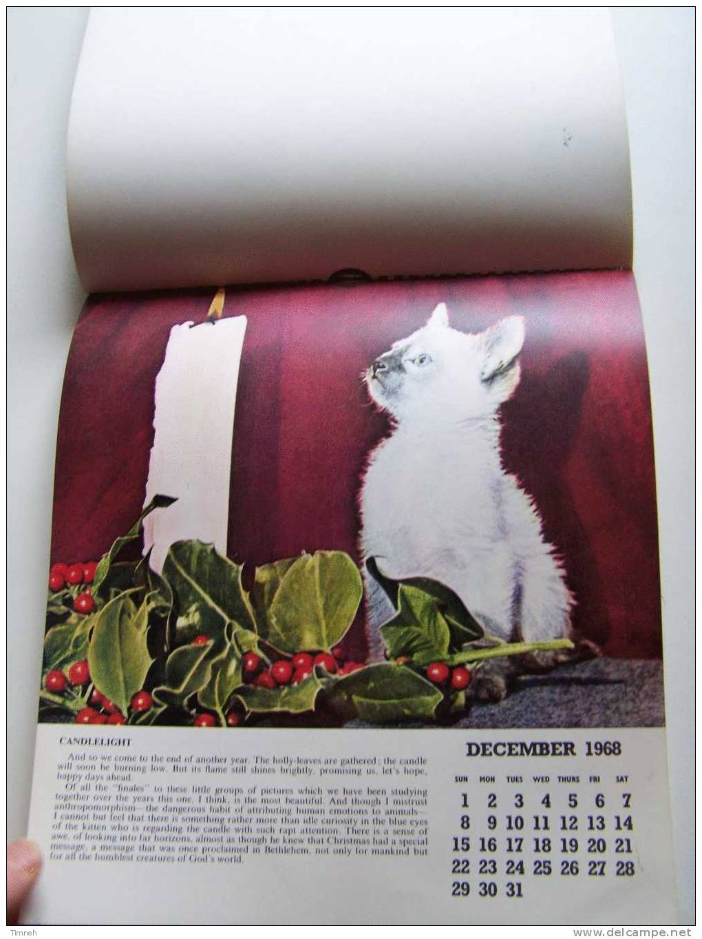 Anglais CAT CALENDAR FOR 1968 Berverley Nichols HUTSON BROS LTD à Spirale Calendrier CHATS En Anglais- - Grossformat : 1961-70