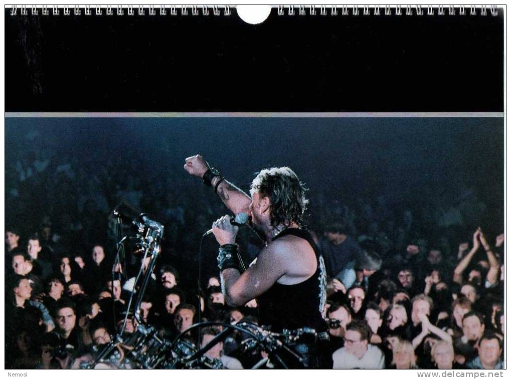 CALENDRIER - 1993 - Johnny HALLYDAY - 12 posters