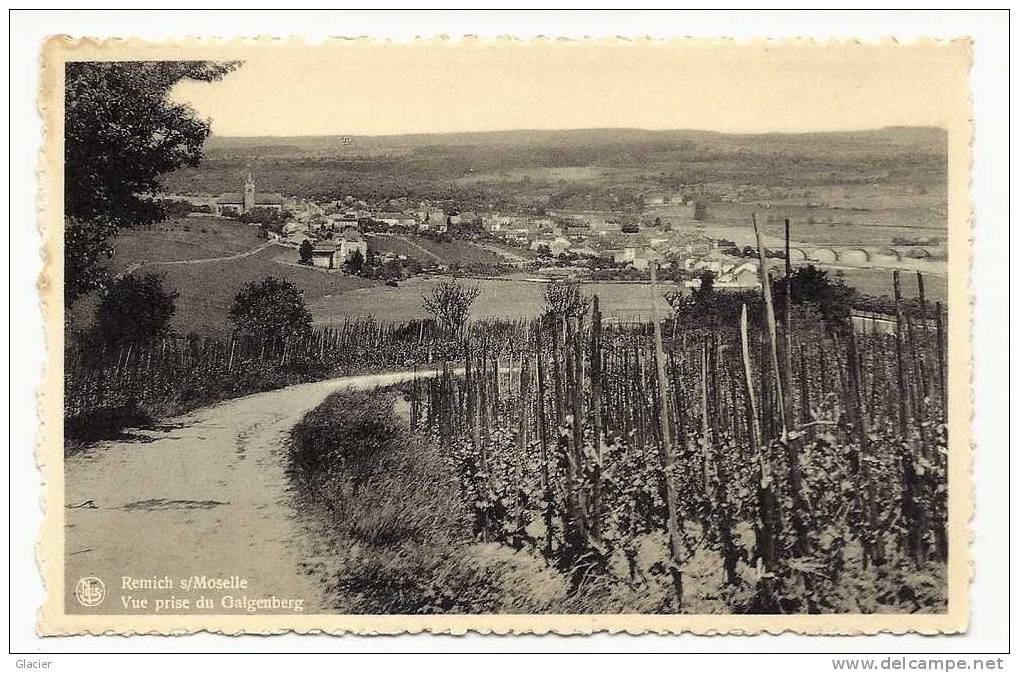 REMICH S/ Moselle - Vue Prise Du Galgenberg - Remich