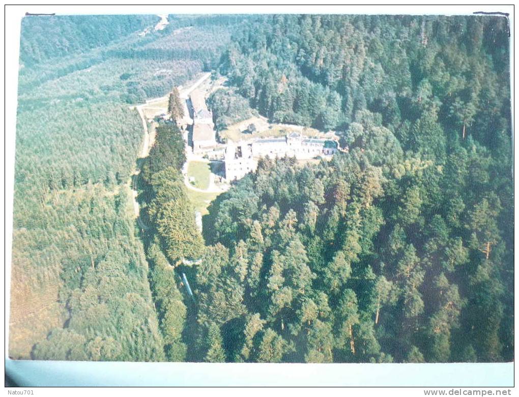 V5-88-vosges-brouvelieures-bruyeres-centre De Secours Animalier-refuge Val Des Oiseaux-gardiennage Animaux - Brouvelieures