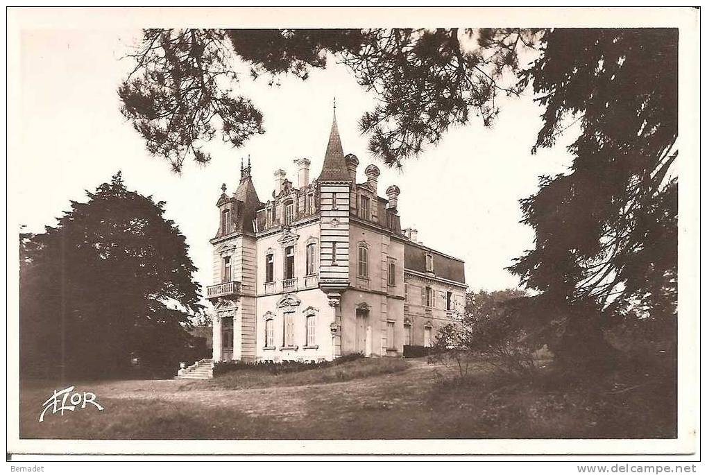 ALLONNES .. CHATEAU DES RIGAUDIERES - Allonnes