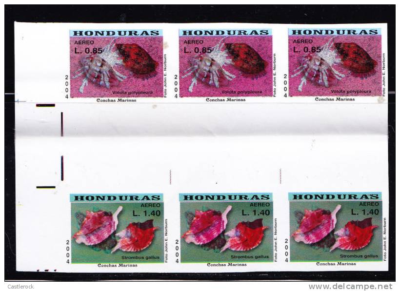 T)2004,HONDURAS,IMPERFORA TE STMAPS,SHELLS,MARINE LIFE - Honduras