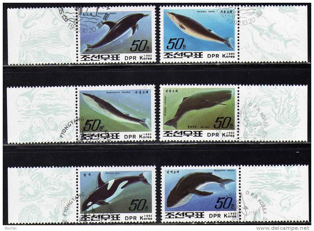 WWF Wale Korea 3354/59 Plus 2 Kleinbogen O 8€ Delphin Finnwal Schwertwal Baird-Wal Pottwal Sheetlet From Corea - Korea (...-1945)