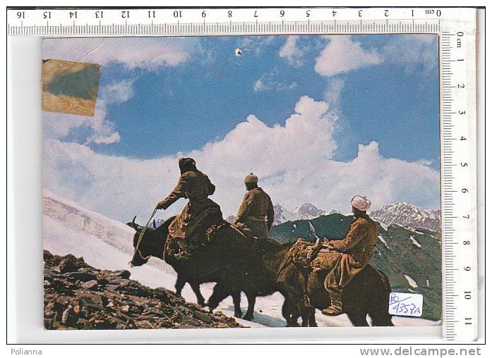 PO4357A# AFGHANISTAN - PAMIR - PASTORI - YAKS  VG 1972 - Afghanistan