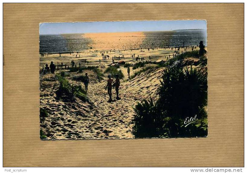 Saint Brévin - La Plage Et Les Dunes De Sable Au Coucher Du Soleil - Saint-Brevin-les-Pins