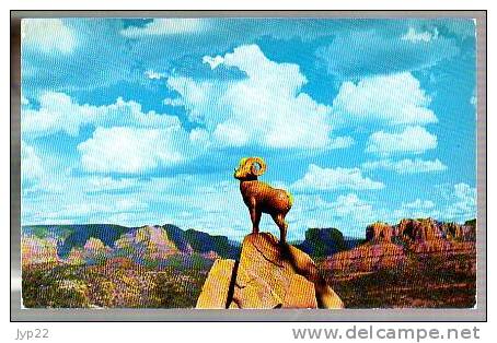 Jolie CP à Localiser - Sentinel Of The Guard Sculpture By Valenty Zaharack - Bighorn Mountain Sheep - Animal Mouflon ?? - Otros & Sin Clasificación